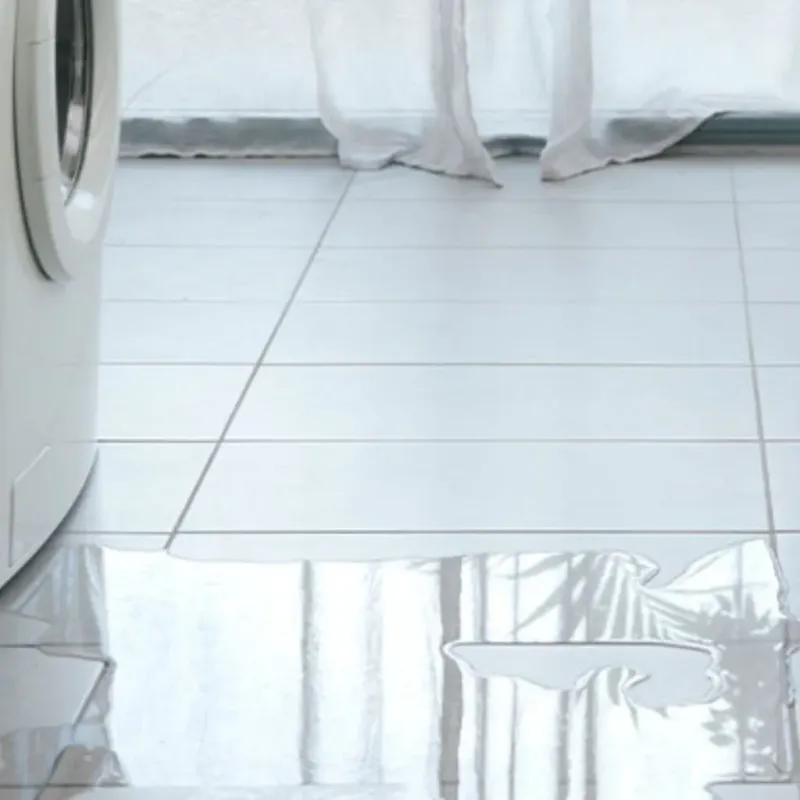 Appliance Leak Cleanup in Sky Valley, CA